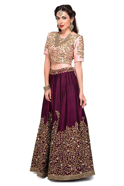 Eralook taffeta Jelly Pink  lehengha choli for women(free size, jellypink)