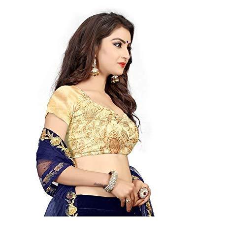 Eralook taffeta sartin sripal lehengha choli for women(free size, Blue)
